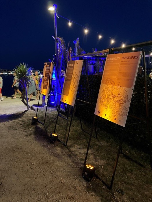 Hook&Cook festival (4)